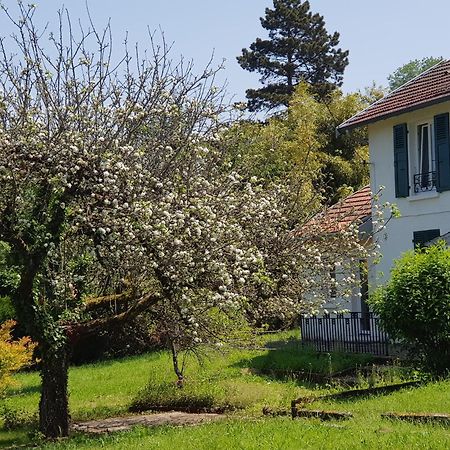 Apartmán La Petite Sommiere Besançon Exteriér fotografie